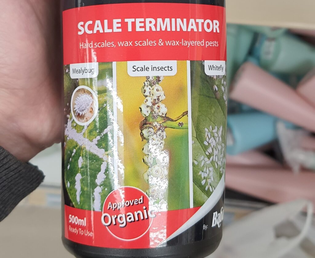 organic fertilizer standard consultant in Malaysia