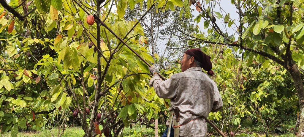 Farmer with best practice