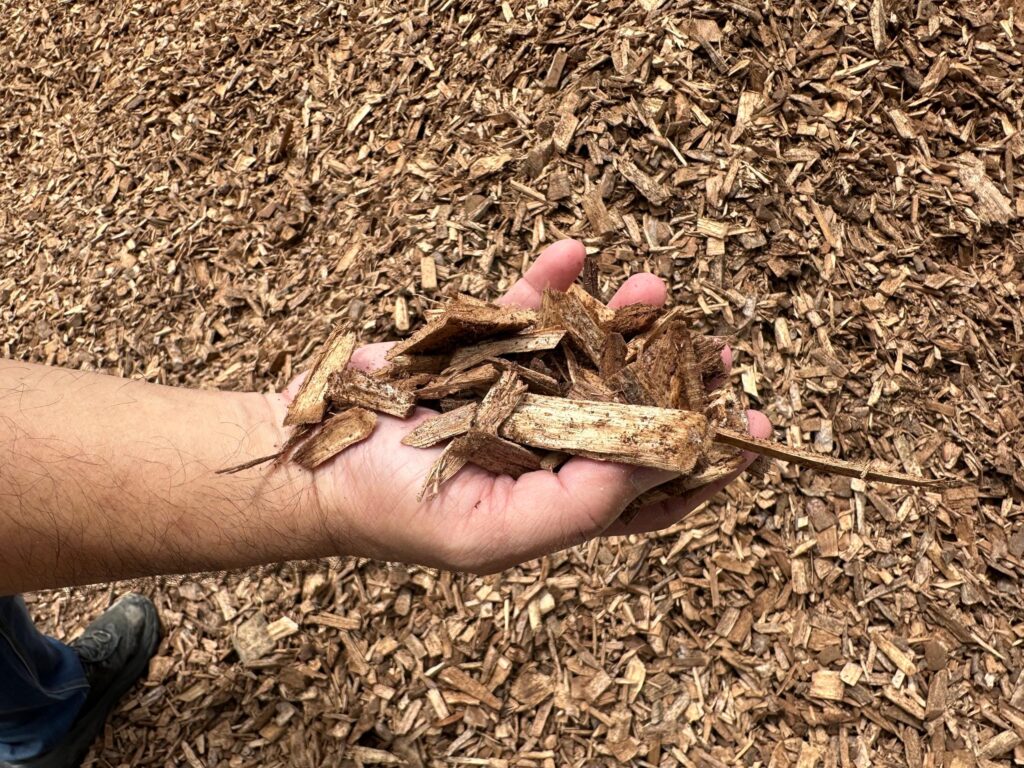 GGL, FSC, PEFC certified woodchips forestry