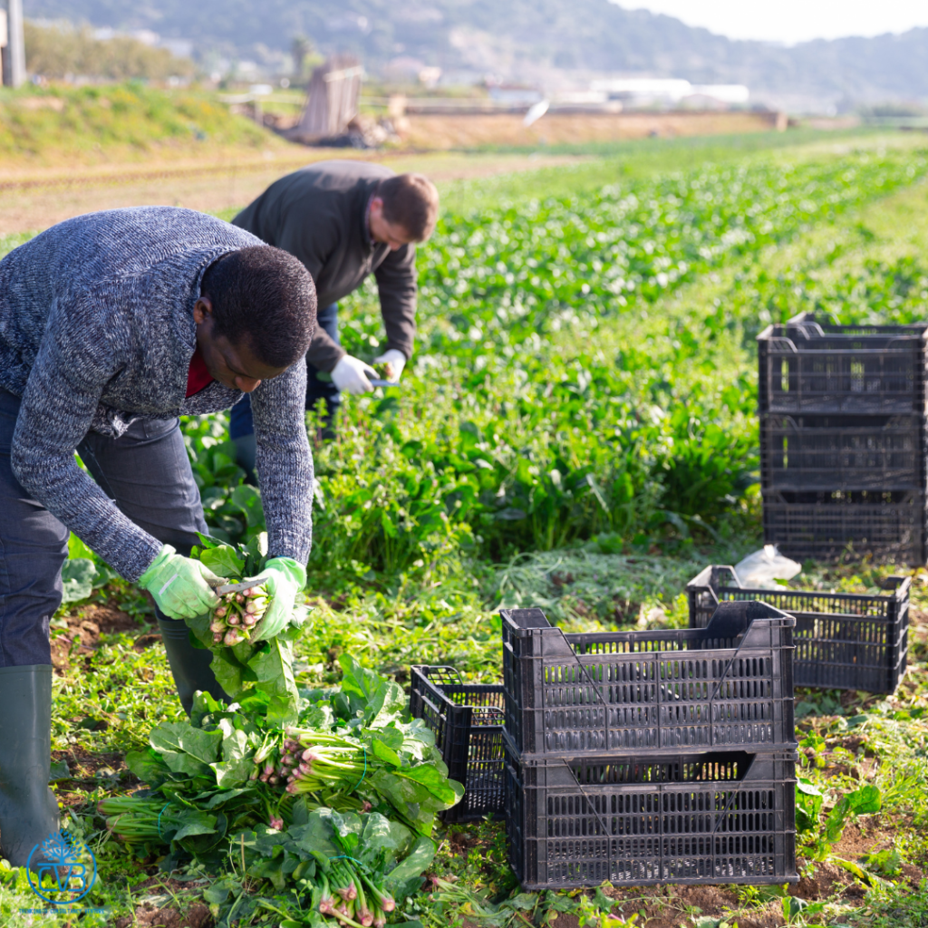 Organic EU farming standard consultant in Malaysia