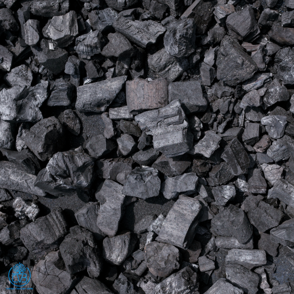 biochar organic fertilizer consultant malaysia