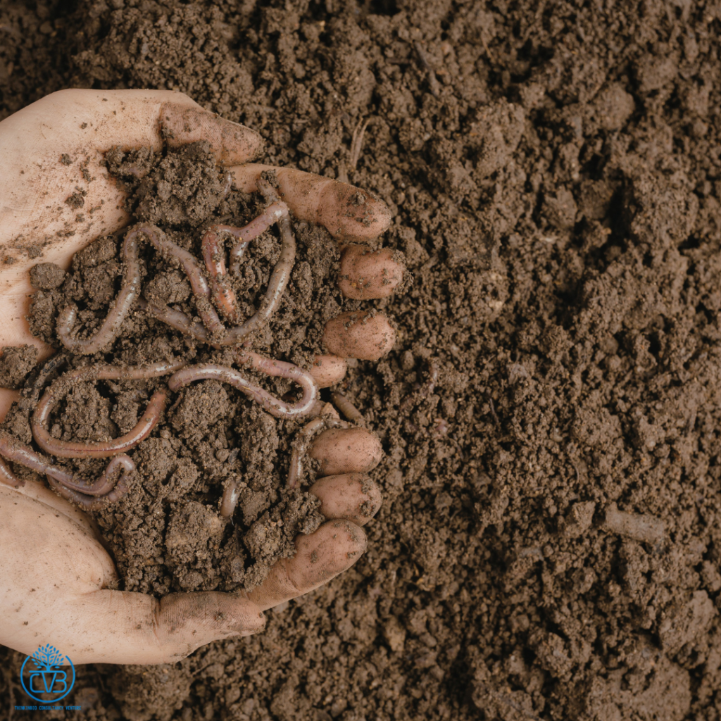 vermicompost consultant malaysia